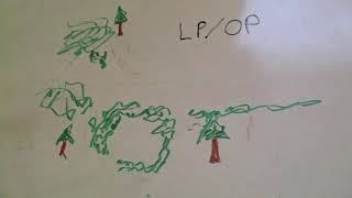 Fieldcraft LPOP Listening PostObservation Post [upl. by Anos]