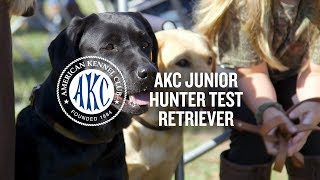 AKC Junior Hunter Test for Retrievers  Intro to Dog Sports [upl. by Noach604]