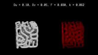 ReactionDiffusion in 3D [upl. by Aivila]