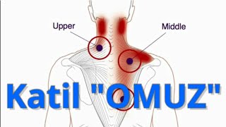 OMUZ 👉 SIRTIMDAKİ YÜK  GEÇMEYEN SIRT AĞRILARI  Fizyoterapist Aynur BAŞ [upl. by Leor626]