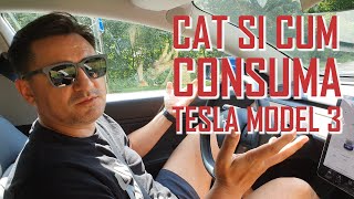 CÂT ȘI CUM CONSUMĂ O TESLA MODEL 3 [upl. by Lednam]