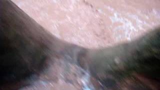 Buckskin Gulch  Flash Flood  2 The Flood [upl. by Nishom]