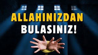 Finlandiya Göçmenlik Bürosundan Çarpıcı Rapor  AHMET KURUCAN [upl. by Gibby]