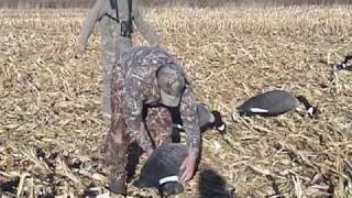 Waterfowling  Canada Goose Hunting Video [upl. by Khai115]