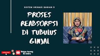 Sistem Urinari bagian 6 Proses Reabsorpsi di Tubulus Distal [upl. by Ainevul646]