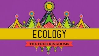 Ecology  Rules for Living on Earth Crash Course Biology 40 [upl. by Holleran]