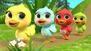 5 Little Ducks song  Newborn Baby Songs amp Nursery Rhymes [upl. by Bride583]