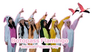 BOTOPASS ChallengeEngSpnPenalty벌칙 Flamingo Dance in Pajamas동물잠옷 입고 플라밍고 [upl. by Eibrad]