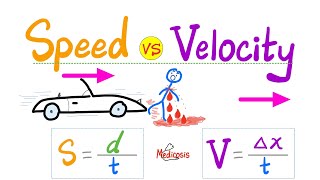 Speed vs Velocity  Distance vs Displacement  Average velocity instantaneous velocity  Physics [upl. by Adikam]