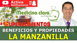 Manzanilla beneficios y propiedades de las infusiones de manzanilla  Medicina Clara [upl. by Elinad400]