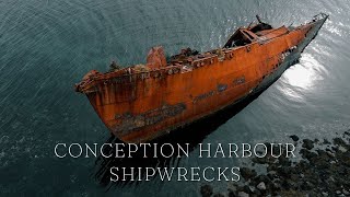 Shipwrecks Conception Harbour Newfoundland  Discovering Newfoundland [upl. by Ennayd730]