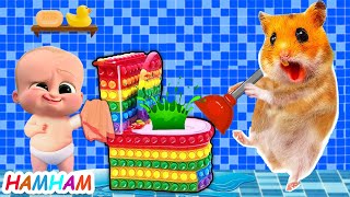 What happened to Hamsters Pop It Toilet  Hamster Cartoon [upl. by Raffaello518]