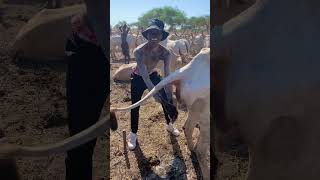 How Mundari Tribe Of South Sudan Showers With Cow Urine [upl. by Yelsel990]