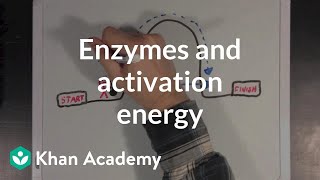 Enzymes and activation energy  Biomolecules  MCAT  Khan Academy [upl. by Namad15]