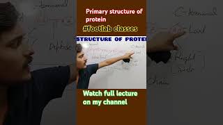 Primary structure of protein structure of protein footlab classes [upl. by Giglio]