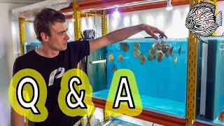 🔴 LIVE Jullie aquarium vragen beantwoord  Aquarium Sunshine Valley [upl. by Ruckman]