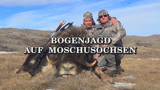 Bogenjagd auf Moschusochsen  Trailer [upl. by Casimir801]