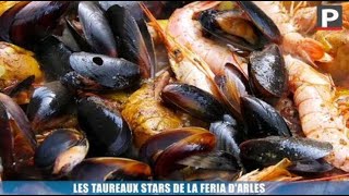 Les taureaux stars de la feria dArles [upl. by Nylirahs]