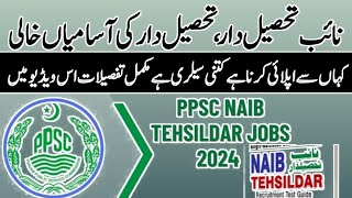 PPSC Naib Tehsildar and Assistant Jobs 2024  PPSC Advertisement Number 142024 [upl. by Olra]