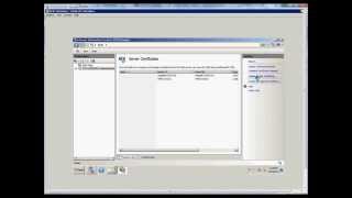 How to remove a domain certificate in IIS on a Windows 2008 R2 server [upl. by Eudo]