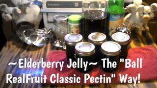 Canning Elderberry Jelly [upl. by Chariot344]