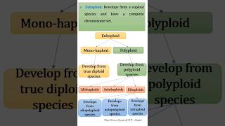 Haploid and Aneuploidy [upl. by Erbas998]