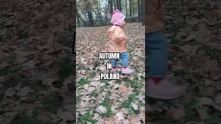 Why so beautiful POLAND  AUTUMN SEASON relaxingmusic nature polandvlog poland ofwinpoland [upl. by Guillemette]