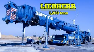 Liebherr LTM 1120091  SPECS OF LTM 1120091 liebherr crane mobilecrane [upl. by Alaunnoif488]