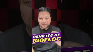 Video 14 Benefits of Biofloc Fish Farming aquaculture fishfarming shorts [upl. by Oniluap]