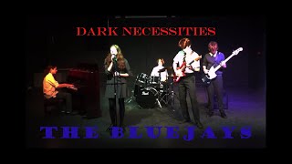 Dark Necessities  Band Cover [upl. by Mallissa70]