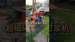 Ultrafine grass pulping machine Grass Pulper livestockmachinery cuttingmachine grasscutting [upl. by Vera]