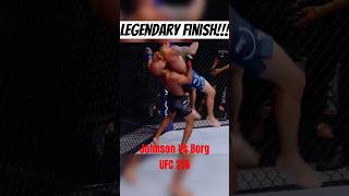 Demetrious Johnson FLYING ARMBAR against Ray Borg mma ufc [upl. by Yalhsa]