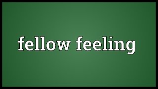 Fellow feeling Meaning [upl. by Branen]