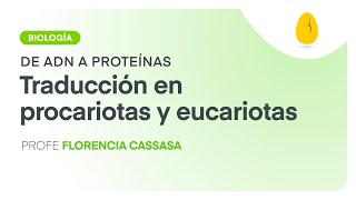 Traducción en procariotas y eucariotas  Biología  De ADN a proteínas  V10  Egg Educación [upl. by Gnat]