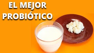 COMO ELABORAR YOGURT DE BÚLGAROS PASO A PASO [upl. by Aillil]