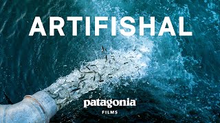 Artifishal Trailer [upl. by Fiester]