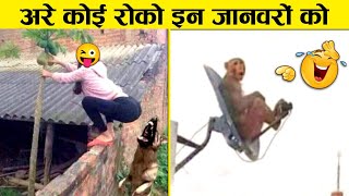 इन जानवरों से पंगा ना बाबा ना 🤣😜 Funny Animals Video 2022 Part5 [upl. by Eneryc312]