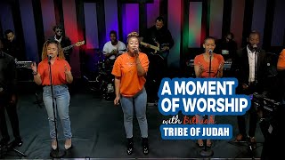 MOMENT OF WORSHIP JESUS I LOVE YOU  TRIBE OF JUDAH  ECG [upl. by Stafford320]