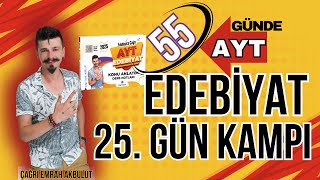 55 GÜNDE AYT EDEBİYAT 25 GÜN KAMPI DİVAN EDEBİYATI 2024 divanedebiyatı aytedebiyat [upl. by Barnaby]