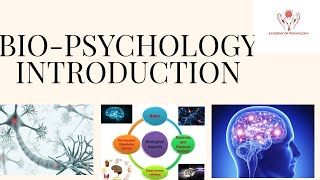 4 Ways to STUDY the BRAIN  Biopsychology [upl. by O'Driscoll]