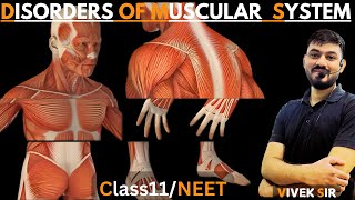 Disorders of Muscular amp Skeletal System  disorders of muscular  Tetany  Class 11 Biology NEET [upl. by Klute]