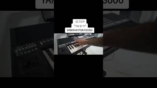 Yamaha PSRA3000 A Masterful Performance of quotזהבה בן quotחיים שלי [upl. by Kelda85]