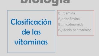 Clasificación de las vitaminas [upl. by Enymsaj]