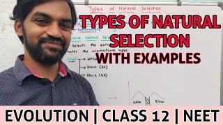 Types of Natural Selection  Evolution [upl. by Small]