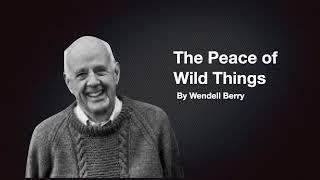 The Peace of Wild Things By Wendell Berry [upl. by Post]