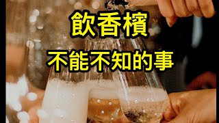 飲香檳不能不知的事 3分鐘學懂 如何釀造香檳｜什麼是二次發酵 香檳製造過程 how to make champagne  traditional method  disgorging [upl. by Inaflahk]