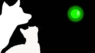 CAT GAMES  GREEN LASER CHASER FOR CATS ONLY [upl. by Anetta]