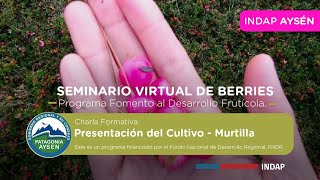 Seminario Virtual de Berries  Presentación del Cultivo de la Murtilla [upl. by Banks]