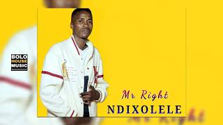 Mr Right  Ndixolele Official Audio [upl. by Inaluahek]