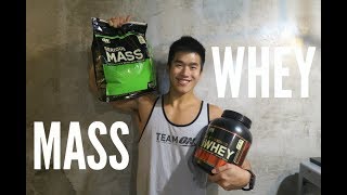 WHEY PROTEIN or MASS GAINER Tips for Beginner [upl. by Virgil]